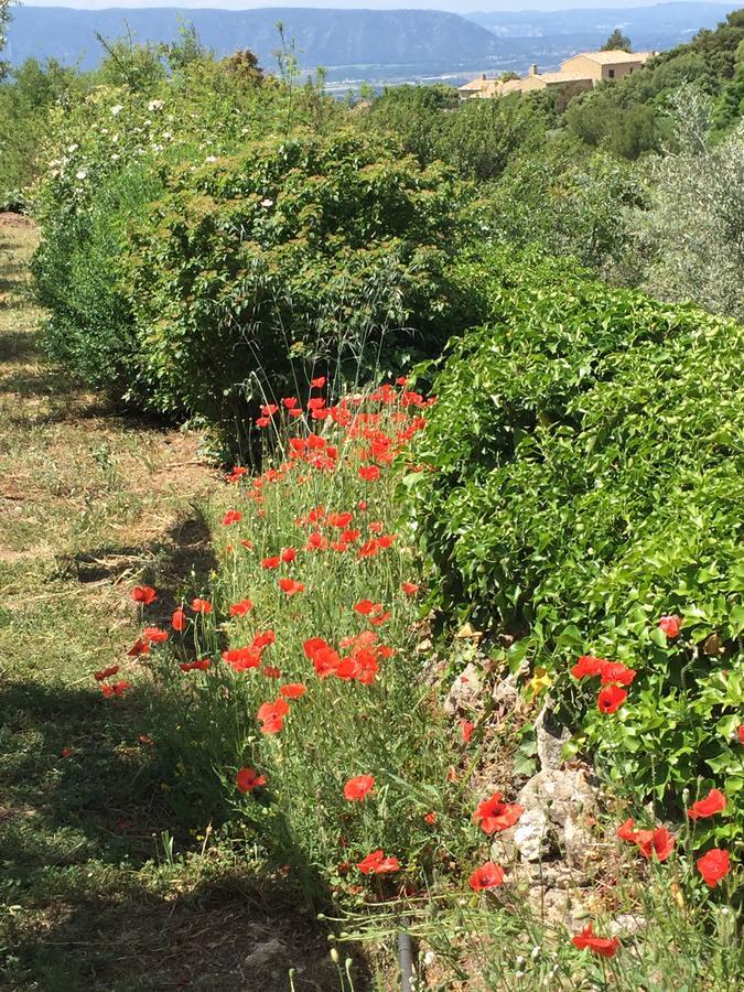 La Borie En Provence Acomodação com café da manhã Gordes Exterior foto