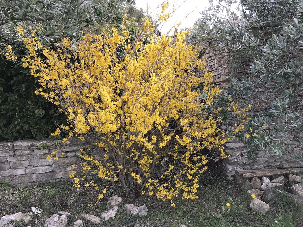 La Borie En Provence Acomodação com café da manhã Gordes Exterior foto